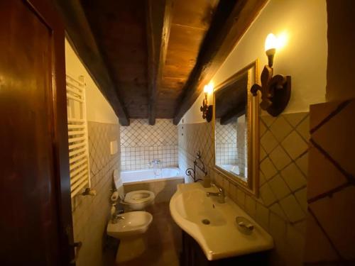 Crocemaroggia的住宿－Il borgo di Firenzuola Camere con camino，一间带水槽、卫生间和镜子的浴室