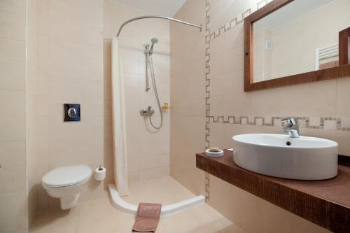a bathroom with a sink and a shower and a toilet at Eco Complex Sherba in Debelets
