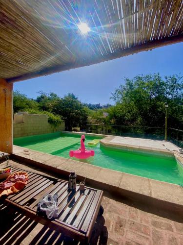 a swimming pool with a pink float in the water at Departamentos El Milagro in Tanti