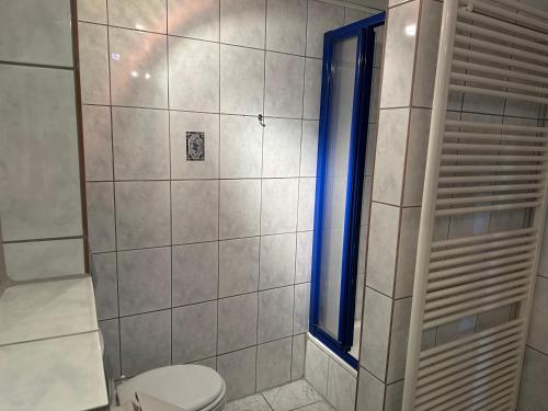 a bathroom with a toilet and a window at Hotel-Café-Burg Stahleck in Bacharach