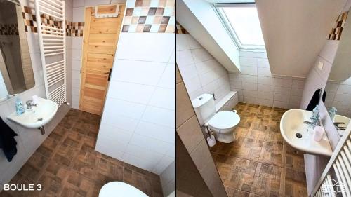 Apartmány Boule في Kovářská: حمام مع مرحاض ومغسلة