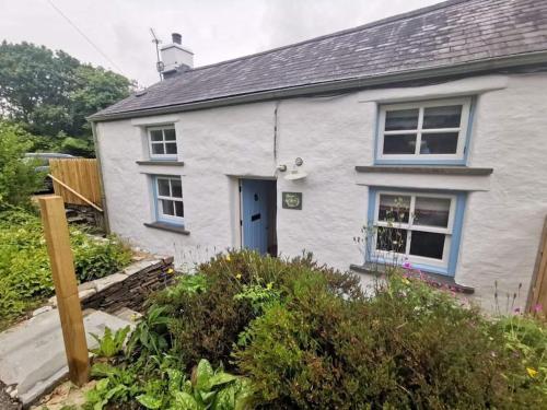 a white house with a blue door at Penrallt-Fach Traditional Welsh cottage Pembrokeshire in Mynachlogddu