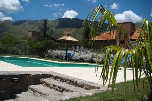 a swimming pool with a palm tree next to a house at Rumbo 020 Apart in Merlo