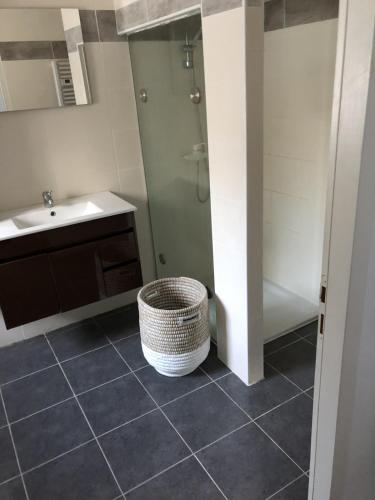 een badkamer met een wastafel, een douche en een toilet bij Maison neuve 8 couchages in Ginestet
