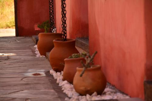 a row of flower pots lined up against a wall at WAYTAY in Cafayate