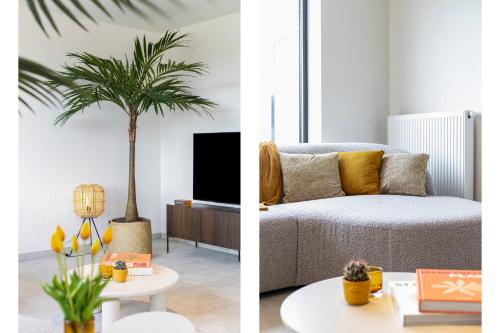 a living room with a couch and a palm tree at Flat Walnes in Diksmuide
