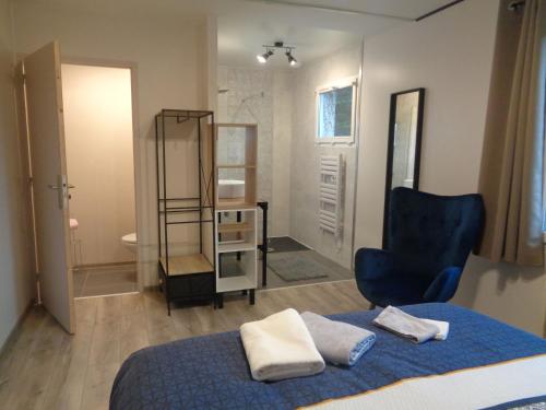 Saint-Gildas-des-BoisにあるLa Célest'han chambre d'hôte "Digital détox"のベッドルーム(青いベッド1台付)、バスルーム