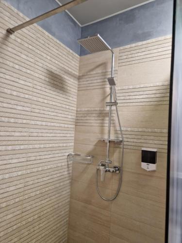 a bathroom with a shower with a shower head at Alecsa 2 Luxury Residence in Mamaia