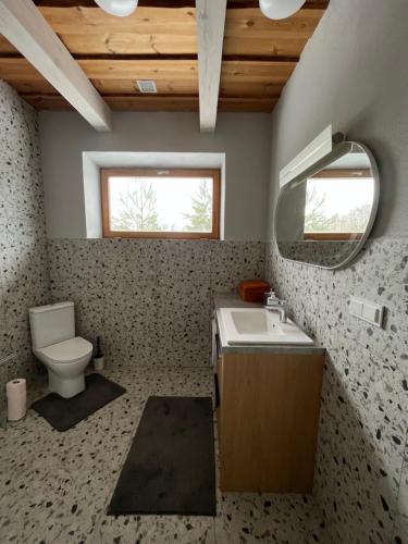 a bathroom with a toilet and a sink and a mirror at Prie Trakų in Petkėniškės