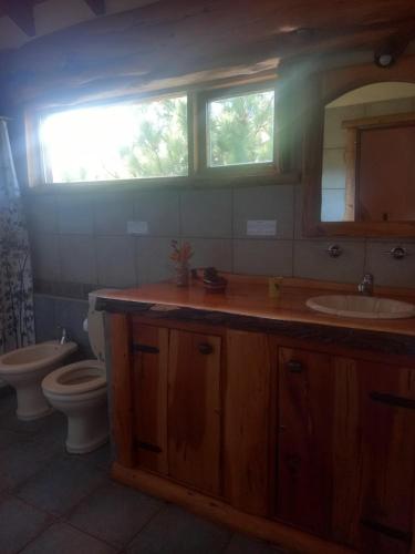 a bathroom with a sink and a toilet at Cabañas Peumayen Meliquina in Lago Meliquina
