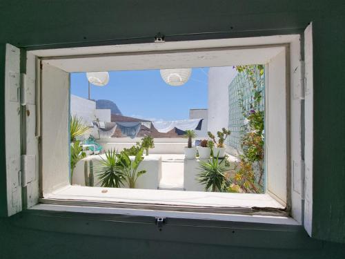 a window with a view of a balcony with plants at Cool Canaria in Agaete