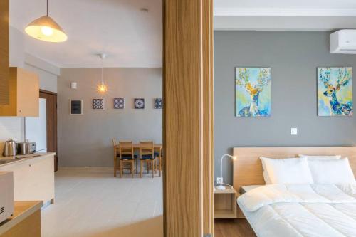 A modern and spacious flat in Gazi