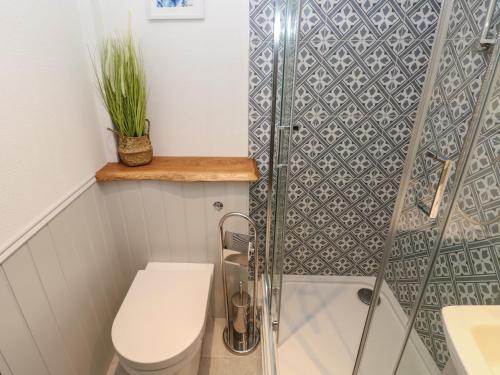 a bathroom with a toilet and a glass shower at Sands Cottage in Haverfordwest