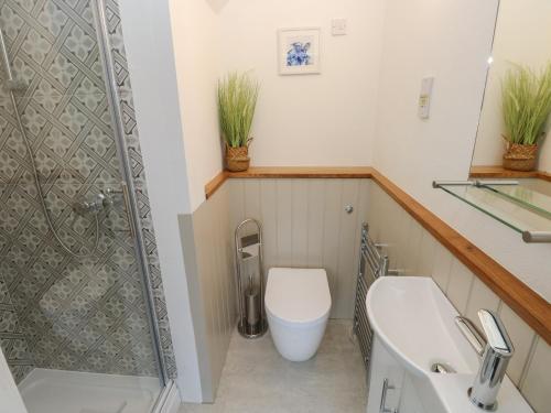 a bathroom with a toilet and a sink and a shower at Abaty Cottage in Haverfordwest