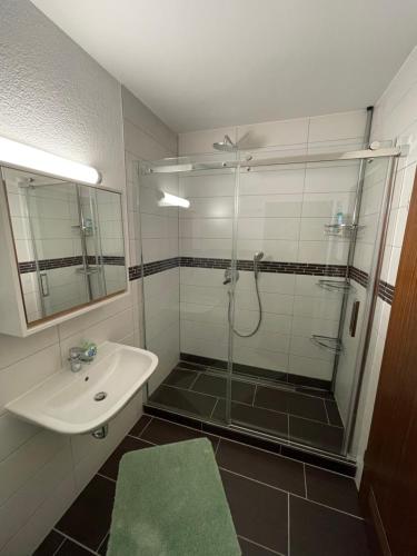y baño con ducha acristalada y lavamanos. en Schöne 2-Zi-Whg, sehr gut ausgestattet, en Hemmingen