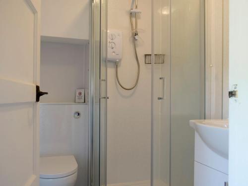 a bathroom with a shower and a toilet and a sink at Westerley Uk31573 in Clifford