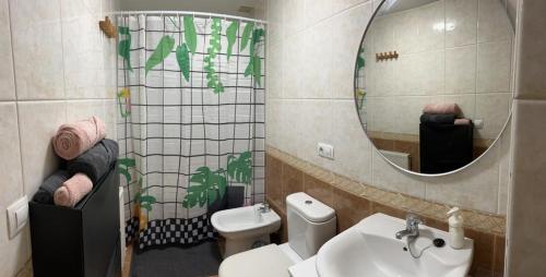 a bathroom with a sink and a toilet and a mirror at Apartamento zona Ria do Burgo in A Coruña