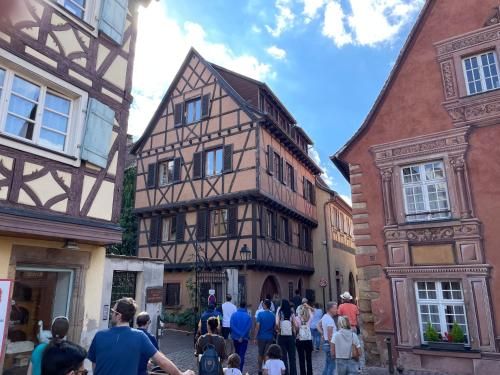 Rive Petite Venise Appartement Luxe - Centre Ville Colmar - Clim, Ascenseur & possibilité Parking