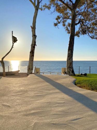 a sidewalk next to the ocean with two trees at Villa Azurella Il Paradiso è qui in Pula