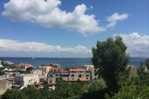 una ciudad con edificios y el océano en el fondo en Appartamento in villa vista mare en Ischia