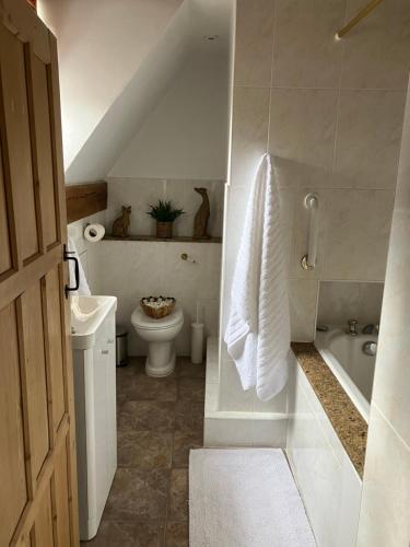 a white bathroom with a toilet and a sink at The Smithy Cottage in Chilham