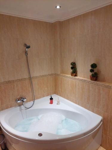 een bad in een badkamer met 2 planten bij The Love Holiday House in Tris Elies