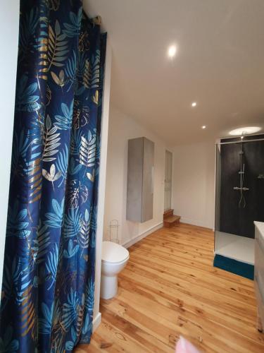 a bathroom with a toilet and a shower curtain at Appartement chic et cosy in Authézat