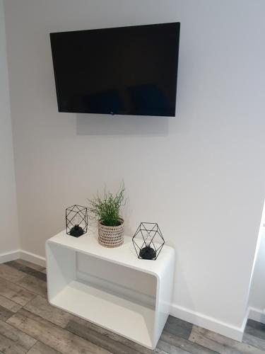 a tv on a white table with a plant on it at Appartement chic et cosy in Authézat