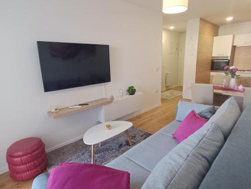 ein Wohnzimmer mit einem Sofa und einem Flachbild-TV in der Unterkunft Apartman LEO in Velika Gorica