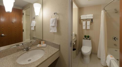 a bathroom with a sink and a toilet at The Inn at Virginia Tech - On Campus in Blacksburg