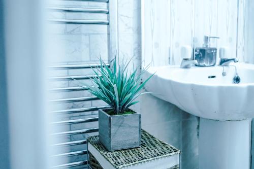 un bagno con lavandino e pianta in vaso di Stunning three Bed House in Bradford a Bradford