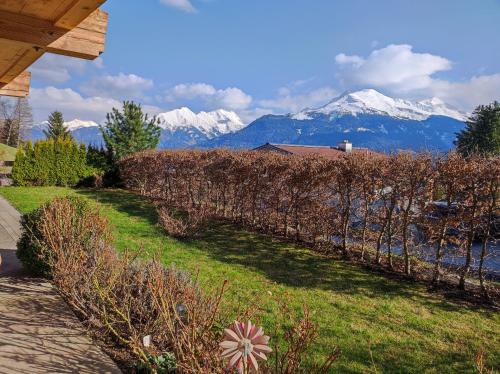 a vineyard with snow covered mountains in the background at Haus Jessica incl National Park Sommercard in Mittersill