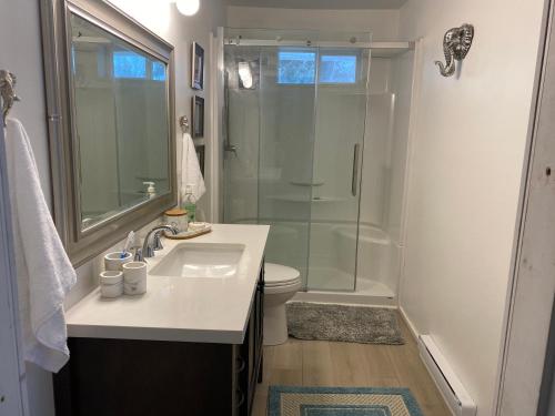 a bathroom with a shower and a sink and a toilet at Private master bedroom in a farmhouse in Nanoose Bay