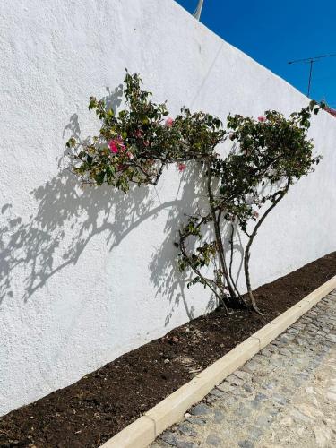 Φωτογραφία από το άλμπουμ του Paço Marmòris Field στη Σίντρα