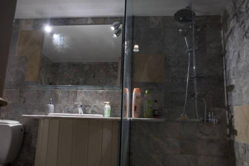 La salle de bains est pourvue d'une douche et d'un lavabo. dans l'établissement Natural House with Sea View & Garden, à Héraklion