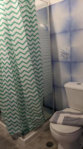 a bathroom with a toilet and a shower curtain at Pension Irene in Sougia