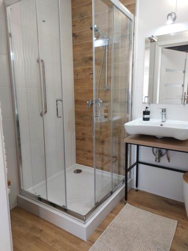 een badkamer met een douche en een wastafel bij Apartament ZatokaPuck in Puck