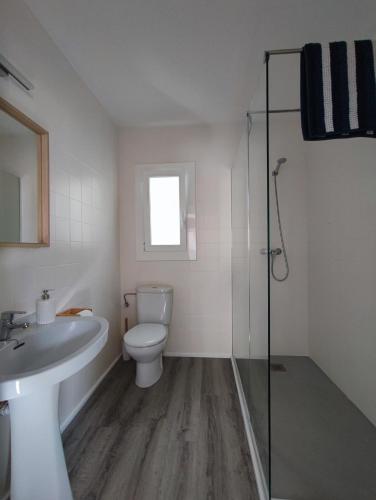 a bathroom with a toilet and a sink and a shower at L'Olivar in Port de la Selva