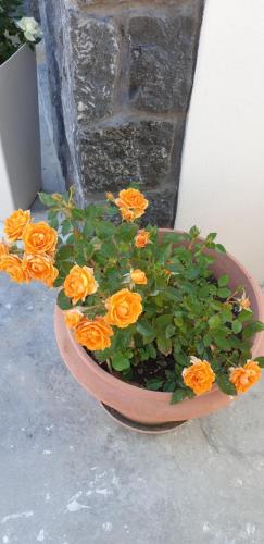 a pot of orange flowers sitting on the ground at Atlas Pension in Karterados