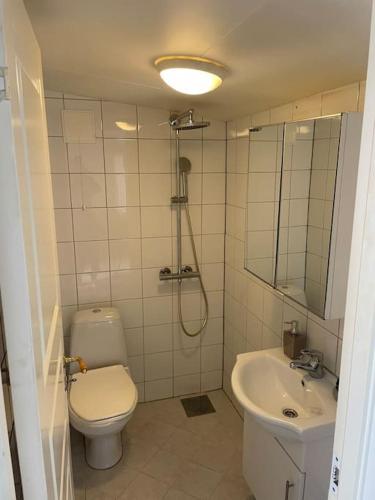 a bathroom with a toilet and a sink at Litle cozy apartment in Ålesund in Ålesund