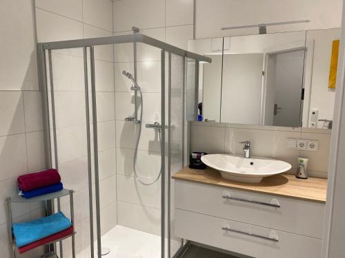 een badkamer met een douche en een wastafel bij Wohnung City Nord mit Balkon in Herzogsdorf