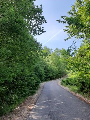 Gambar di galeri bagi Cerov do di Šavnik