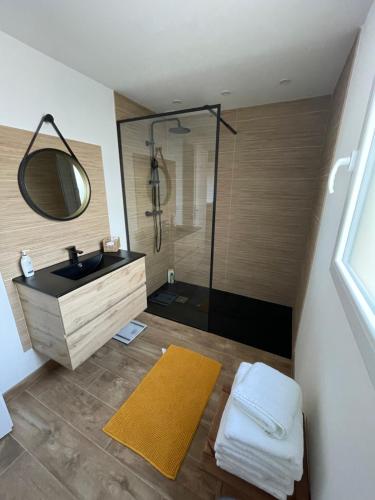 a bathroom with a sink and a shower with a mirror at Les oiseaux du paradis in Saint-Aignan