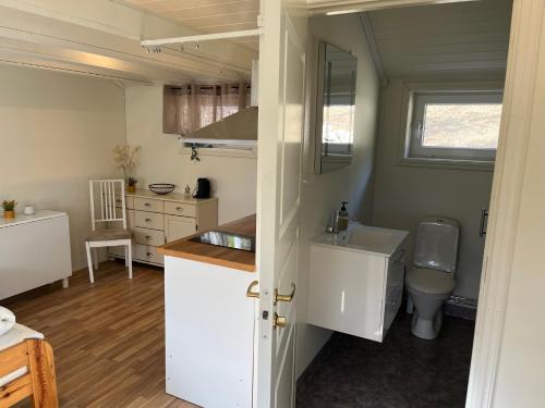małą kuchnię ze zlewem i toaletą w obiekcie Guest House Stare w mieście Strömstad