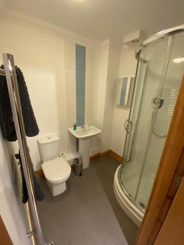 a bathroom with a toilet and a sink at 1 bedroom apartment in Norwich city centre in Norwich