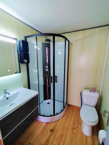 une salle de bain avec une douche, des toilettes et un lavabo dans l'établissement Il était une fois à ConcarnOLoc, à Concarneau