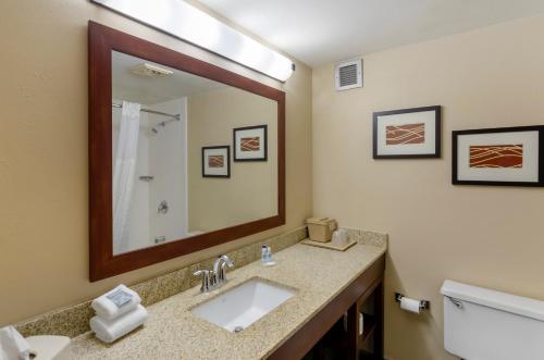 a bathroom with a sink and a mirror at Comfort Inn Blacksburg University Area in Blacksburg