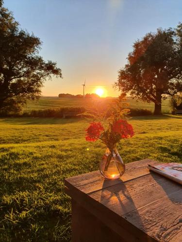 a vase of flowers sitting on a table in a field at Logementen Jannum in Burdaard