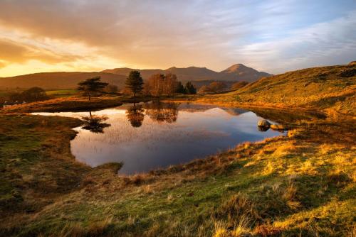 a small pond in a field with mountains in the background at Mill Pool Barn Torver, Coniston in Coniston