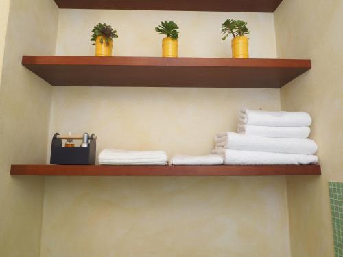 baño con estanterías de madera, toallas y plantas en Music Home, en Macerata